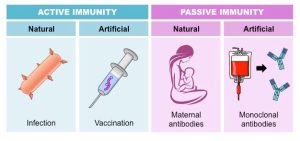 types-of-immunity_natural and artificial vaccination in kathmandu nepal