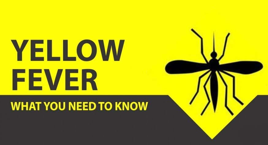Yellow Fever Vaccine