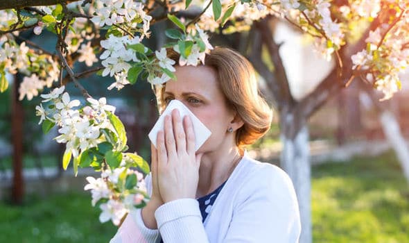 Spring Diseases in Kathmandu