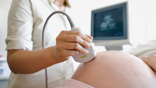 Fetal Echocardiography