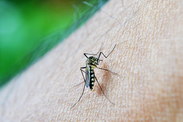 Malaria: Causes, Symptoms and Treatment in Nepal