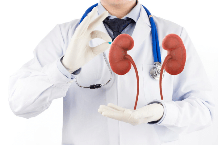 Department of Nephrology | Clinic One