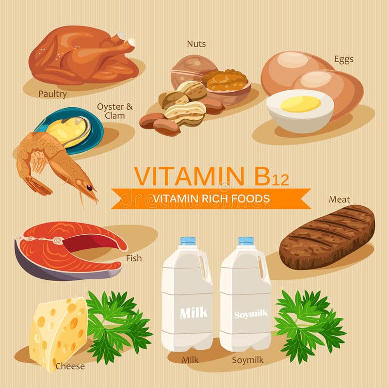 Vitamin B12 rich foods to eat in Nepal to prevent Vitamin B-12 deficiency