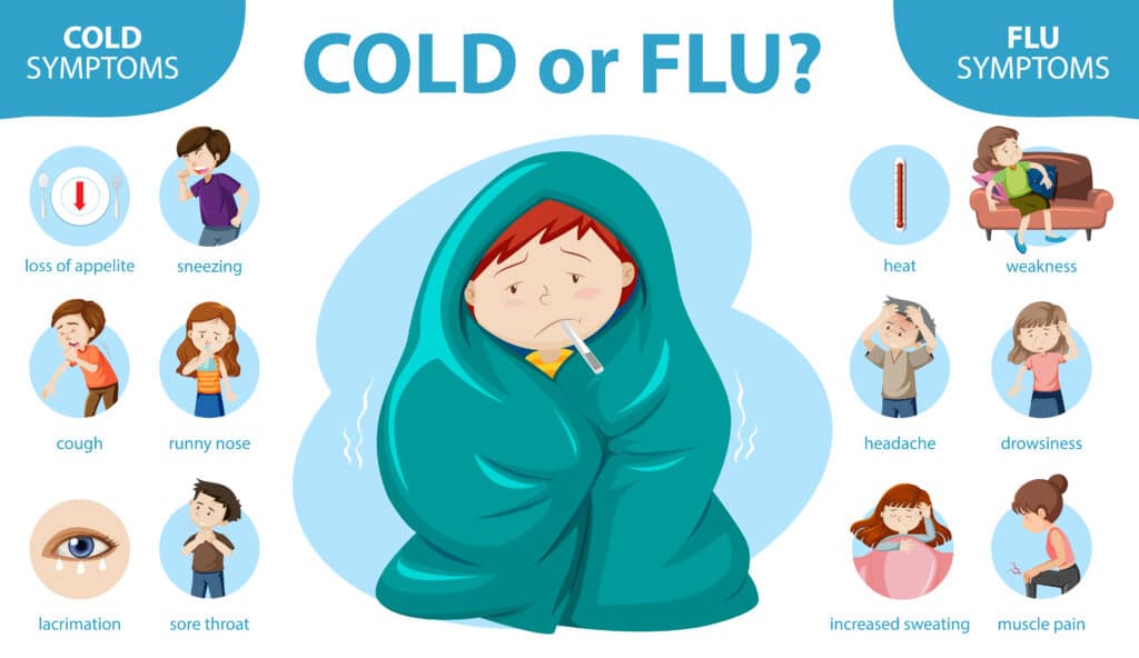 Medical infographic of cold and flu symptoms illustration