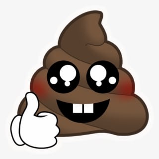 what is normal poop