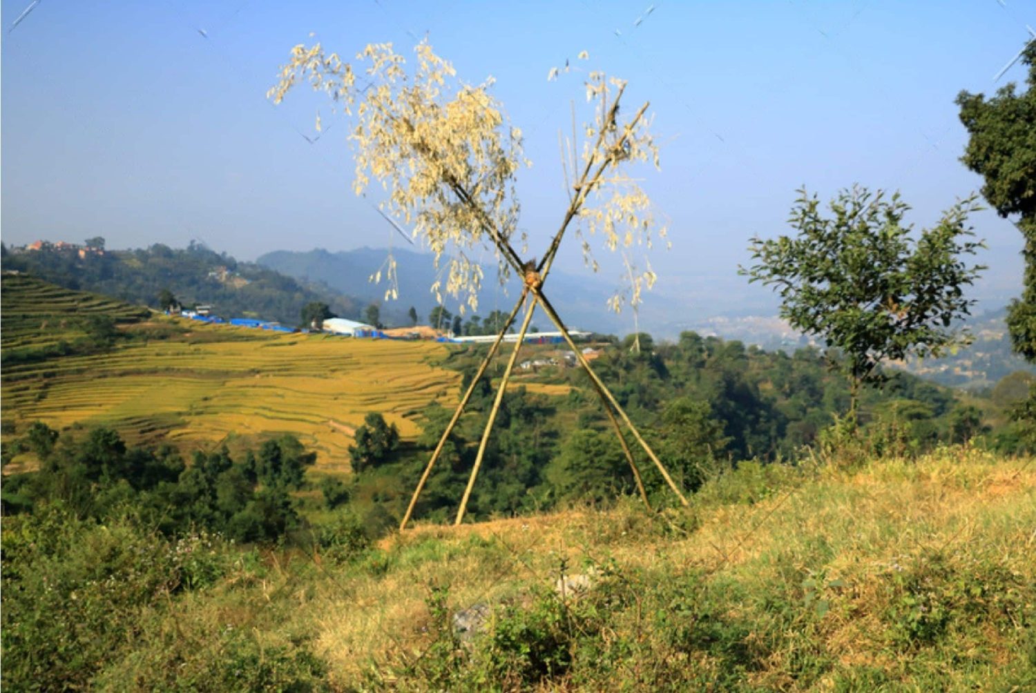 Things to Keep in Mind Before Traveling for Dashain