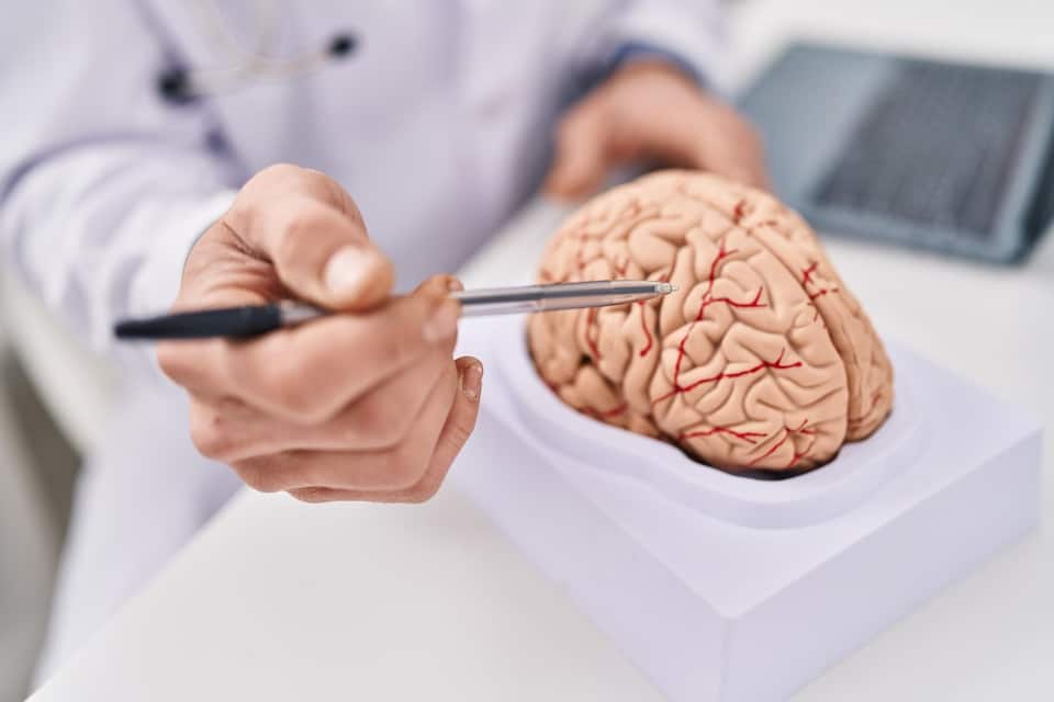 Unlocking the Mystery of Stroke: Causes, Symptoms, Management and Prevention