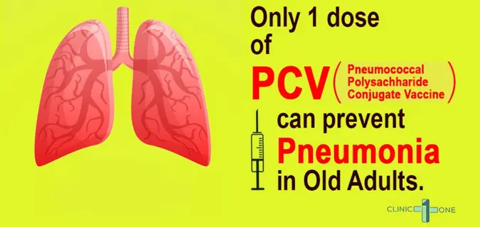 Infographic showing lungs and syringe, highlighting that a single dose of PCV helps prevent pneumonia in older adults, explains the importance of pneumococcal vaccination in Nepal and mentions the affordable pneumococcal vaccine price in Nepal for seniors and high-risk patients.