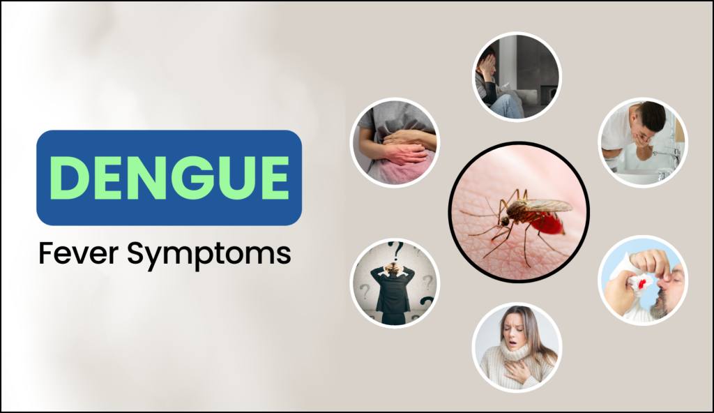 A Comprehensive Guide to Dengue Symptoms: Early Signs and 7 Warning Indicators