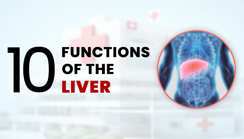 10 Vital Functions of the Liver​ That Keep You Running and Healthy