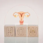 Illustration of the female reproductive system above wooden blocks spelling ‘HOW’.